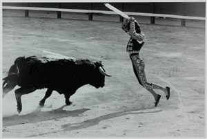 Image description is not available for 2013.069